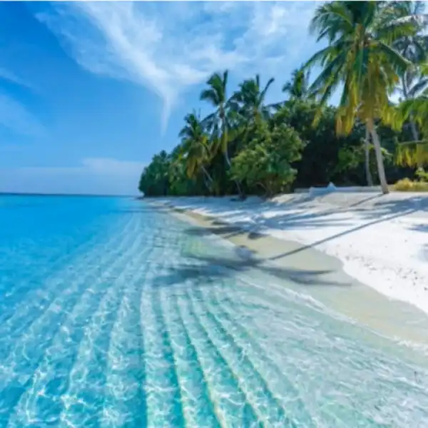 DJ Ace - Peace of Mind Vol 01 (Slow Jam Mix)